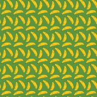 dsStella-DLW3583 Fern